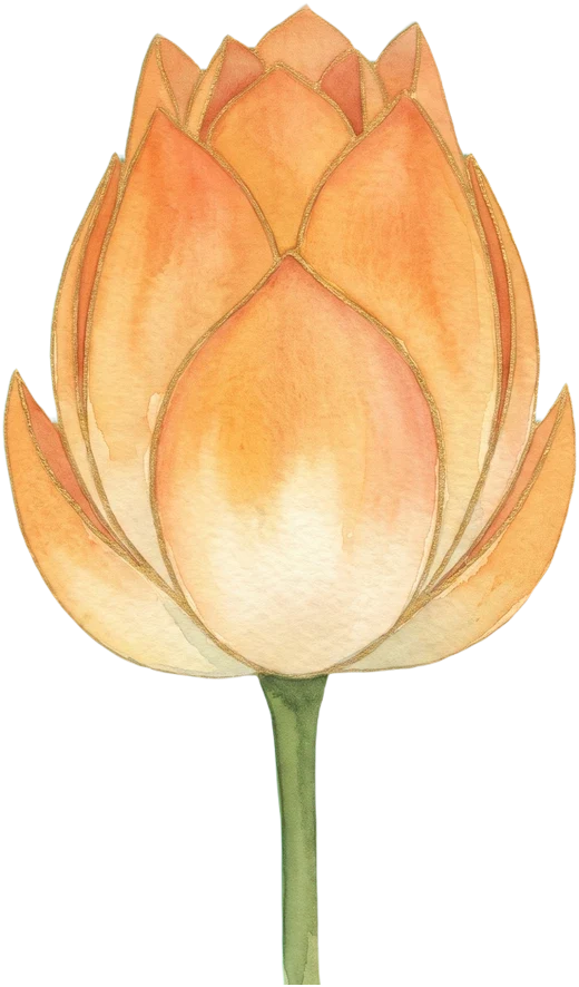 A closed saffron lotus bud, tap to open