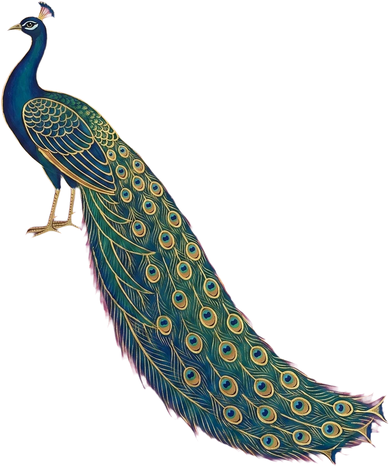 A peacock with a trailing gold-eyed tail, pichwai
